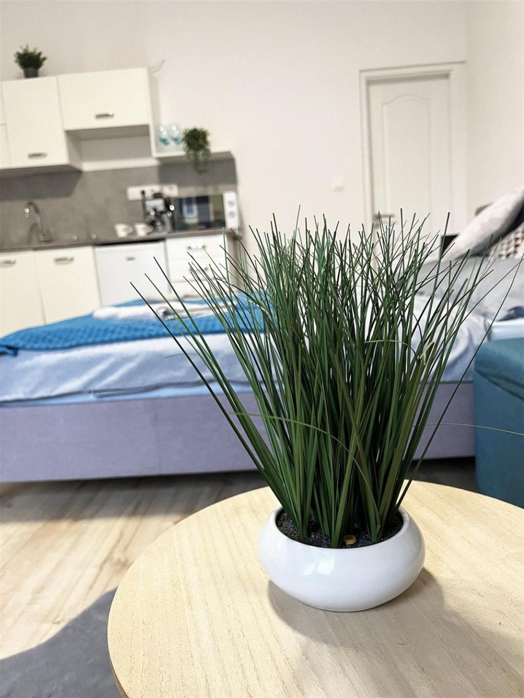 Bereg Szive Apartman Vasarosnameny Luaran gambar